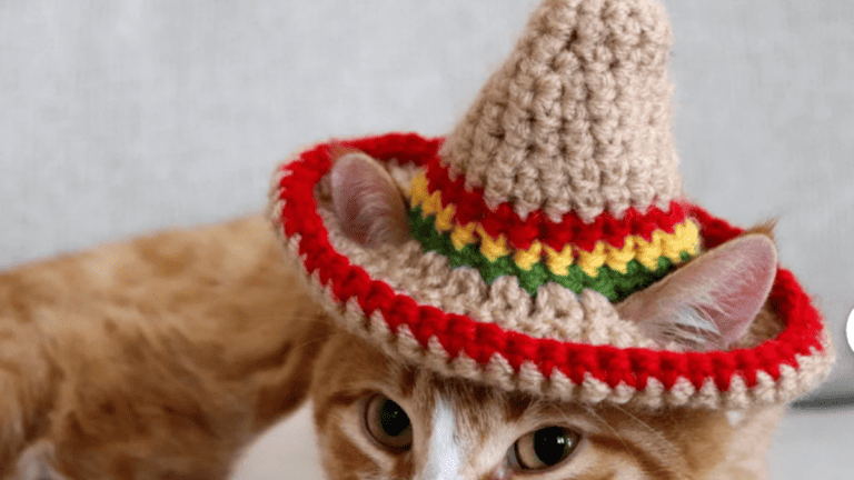 10 Hysterical Cat Hat Crochet Patterns