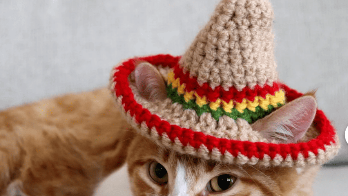 Cat Hat Crochet Patterns
