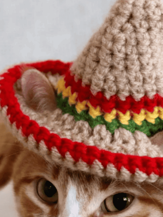 7 Crochet Cat Hat Patterns