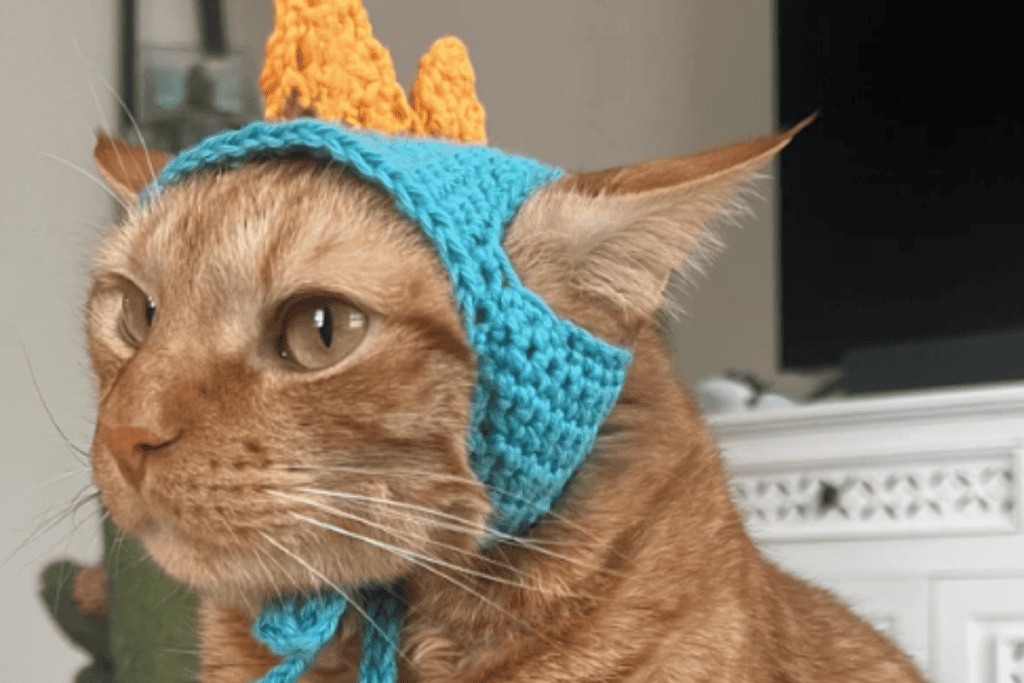 dinosaur cat hat that is blue and yellow