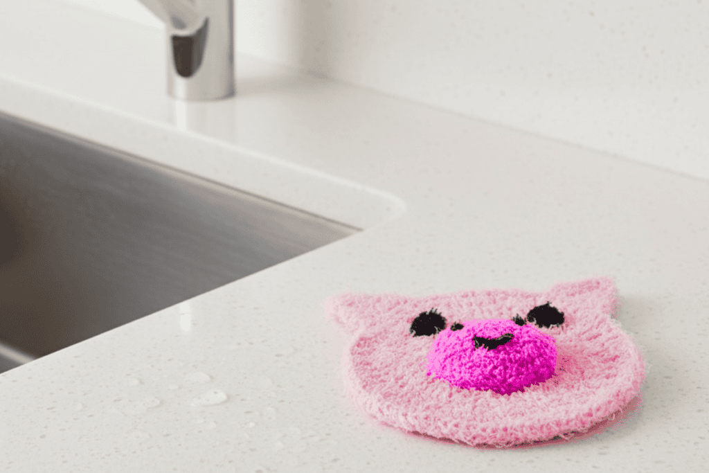 kitchen, scrubby, pig