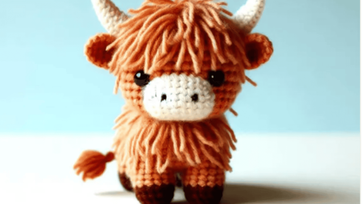 smaller highland cow